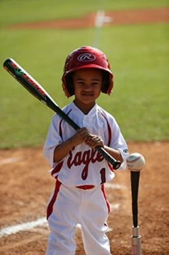 Rawlings T-Ball Training Baseballs, 12 Count, TVB 11 Rawlings T-Ball Training Baseballs, 12 Count, TVB -Accessories Sales Store 41x5I02DF5L