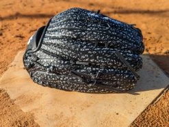 Black You Can Series -Accessories Sales Store file 100