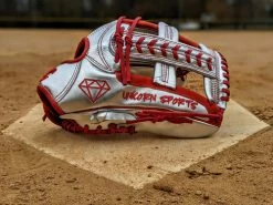 2021 Chrome/Red Web Gem